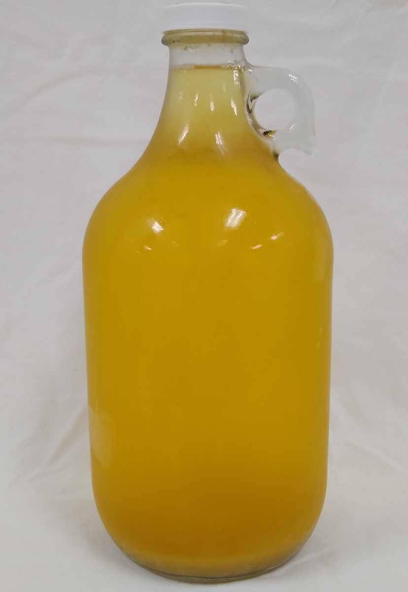 CULTURED JUN, HONEY KOMBUCHA (GINGER), 1/2 GALLON GROWLER Market